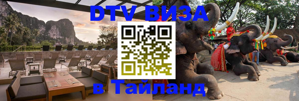 Сколько стоит DTV виза — актуальные цены, оформление даже без документов - Доха  19.11.2025 
